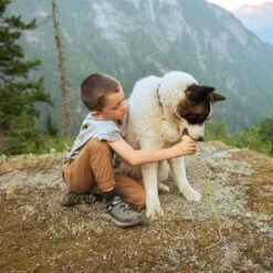 Kids Keen Targhee Low Wp C -Activesoul Shoes Store 1024009 91 081022170745