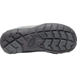 Kids Keen Chandler 2 Cnx Youth -Activesoul Shoes Store 1026494 9 041023180211 1