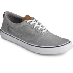 Men's Sperry Striper Ii Cvo